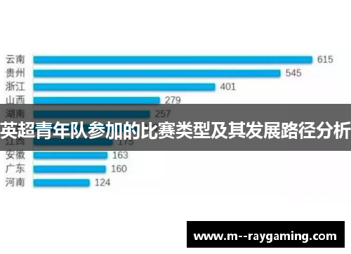 英超青年队参加的比赛类型及其发展路径分析