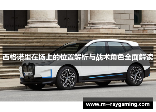 西格诺里在场上的位置解析与战术角色全面解读