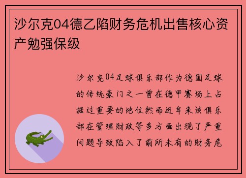 沙尔克04德乙陷财务危机出售核心资产勉强保级